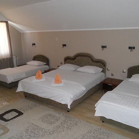 Guest House Vila Bor 노비사드 외부 사진