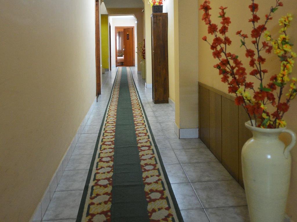 Guest House Vila Bor 노비사드 외부 사진