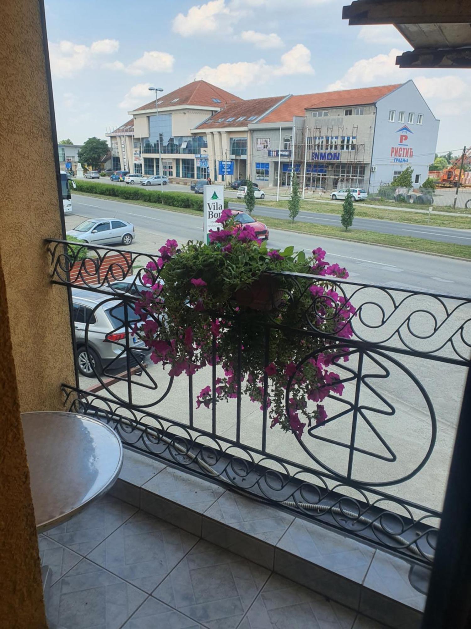 Guest House Vila Bor 노비사드 외부 사진